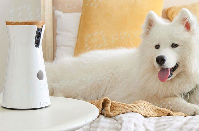 caméra de surveillance pour chien